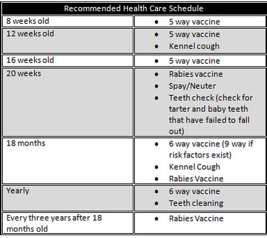 The number of vaccinations your puppy will need will depend upon their risk level for certain since rate at which the number of mdas dwindle varies from individual to individual, the best way to catch every puppy as soon as the vaccine can take. Training, Vaccines, Health Care - Orchid Stars