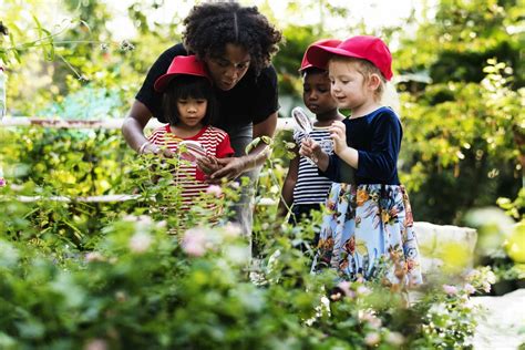 Preschool Nature Education Tips For Teachers To Get Kids