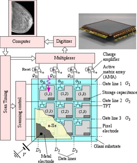 Sensors Free Full Text Amorphous And Polycrystalline