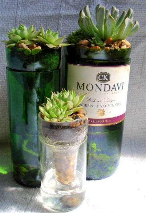 Turn Wine Bottles Into Gorgeous Succulent Planters Diy