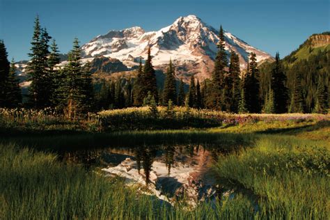 Should Mount Rainier Revert to Its Original Moniker? | Seattle Met