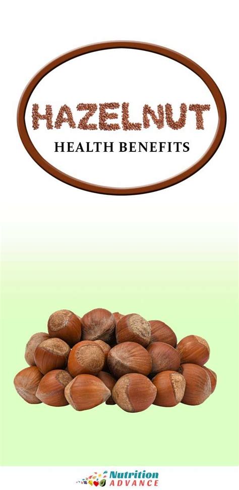 Hazelnuts Nutrition Facts And Health Benefits Hazelnut Nutrition