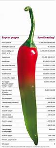 9 Best Images About Chili And Peppers Oh My On Pinterest Cooking