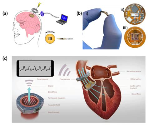 Biosensors Free Full Text Skin Integrated Wearable Systems And