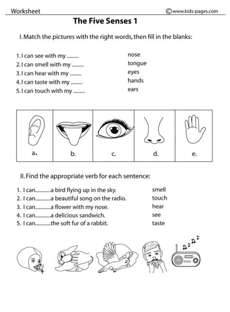 The Five Senses 1 b&w worksheet