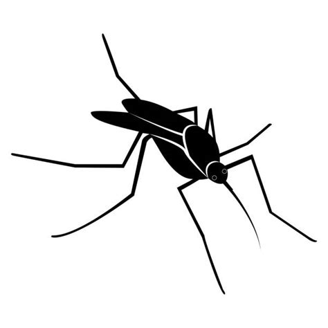 Drawing Of The Dengue Fever Illustrations Royalty Free Vector Graphics
