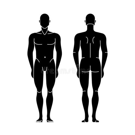 Check spelling or type a new query. Male Anatomy Diagram Front View / 7+ human body outline front and back | Ledger Review - Human ...