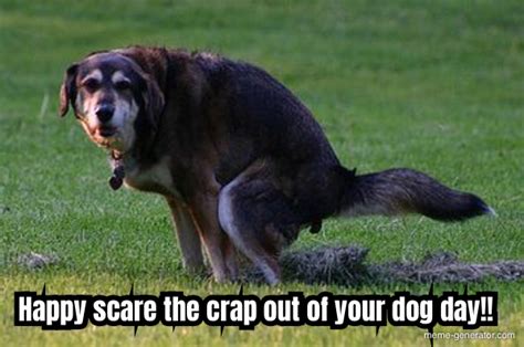 Scare The Crap Out Of Your Dog Day Meme Generator
