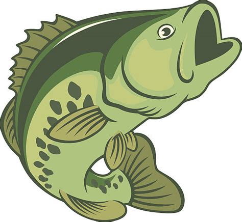 Royalty Free Largemouth Bass Clip Art Vector Images And Illustrations