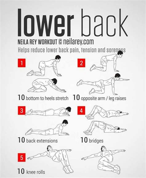 Pin By Puffy Eyes 360 On Stretches Lower Back Exercises Neila Rey