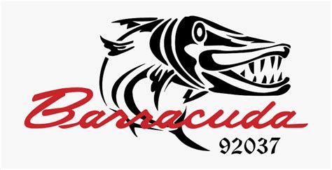 Barracuda Logo Hd Png Download Kindpng