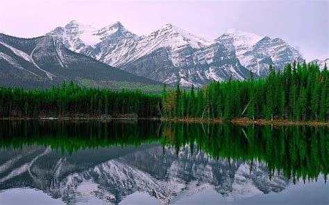 Lake Louise Alberta Canada Forest Mountains Nature Reflection