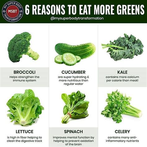 6 Reasons To Eat More Greens Leafy Greens Are Such An Important