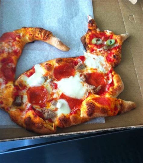Daily Morning Awesomeness 25 Photos Food Humor Pizza Cat Pizza Shapes