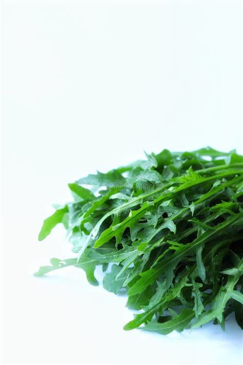 Young Arugula Leaves On A White Background Stock Photo Image Of