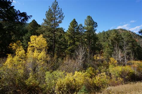 Indian Creek Trail Go Hike Colorado