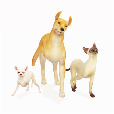 Sims 4 Pets Mod Without Expansion Pack The Pack Concentrates On Being
