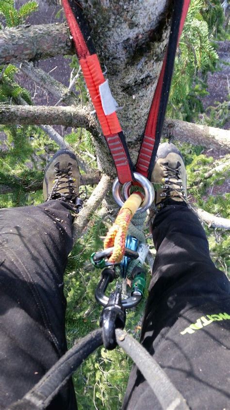 Ecimage Rock Climbing Knots Climbing Gear Arborist Climbing Trees