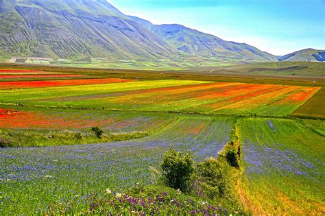 Castelluccio Di Norcia E I Suoi Colori 29 Giugno 2020 Juzaphoto