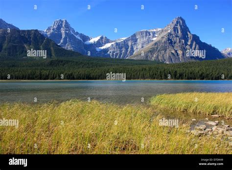 Waterfowl Lake Banff National Park Alberta Canada Stock Photo Alamy