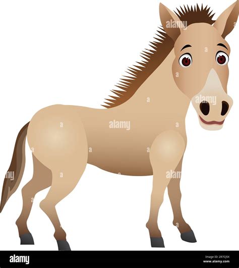 Horse Cartoon Stock Vector Images Alamy