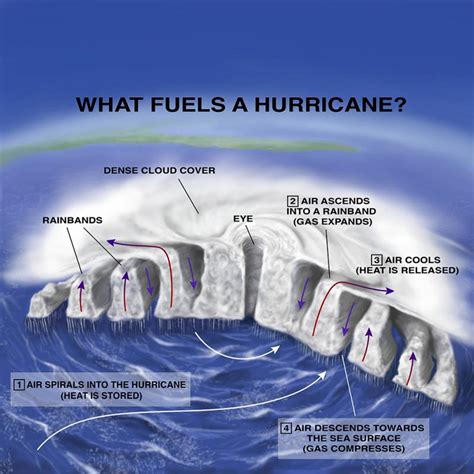 Hurricanes Typhoons And Cyclones Smithsonian Ocean