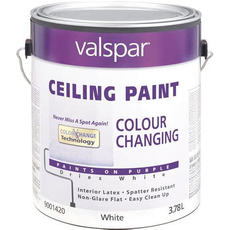 Valspar 1420 Latex Color Changing Ceiling Paint Matte White 1 Gal