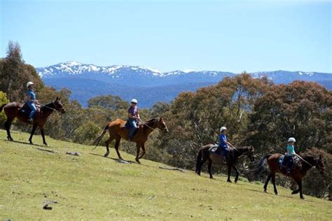 Traveller Travel News And Stories Embrace Summer In The Snowy Mountains