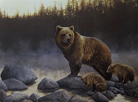 Beautiful Grizzly Bear Wildlife Paintings Wildlife Art Animal