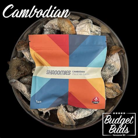 Cambodian Magic Mushrooms 1oz By Shroomies Budget Buds