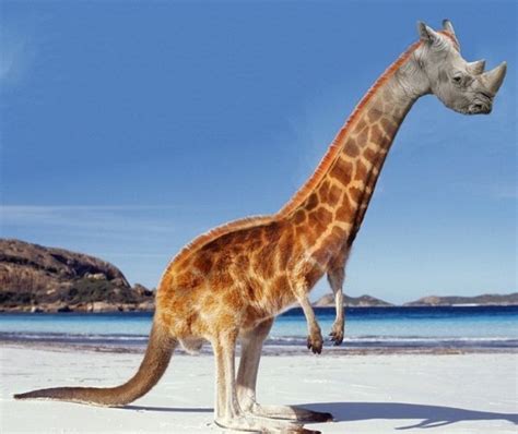 Cool Photoshopped Animals 30 Pics