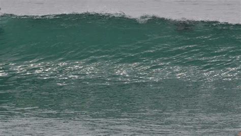 pro surfer dies catching wave during hurricane irma