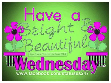 Have A Bright And Beautiful Wedneday Wednesday Hump Day Wednesday