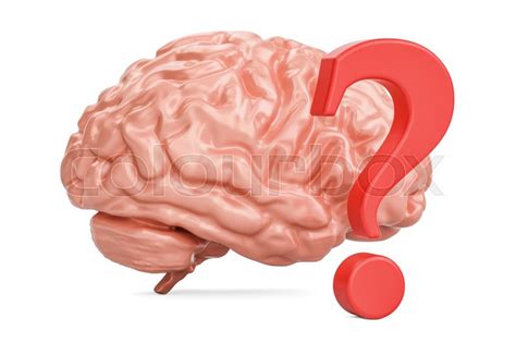 Human Brain With Question Mark 3d Rendering Isolated On