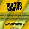 How to Avoid GMOs - GMO Inside | Gmo free food, Genetically modified ...