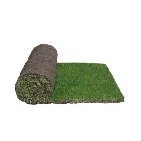 Tiftuf Bermuda Buy Tiftuf Bermudagrass Online Greener Lawn