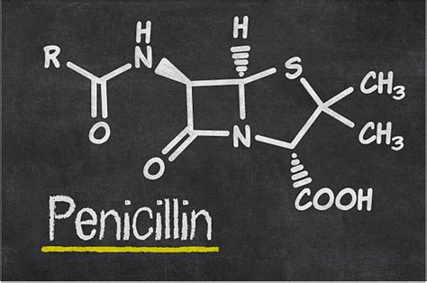 Penicillin One Of The First Antibiotics Lions Talk Science