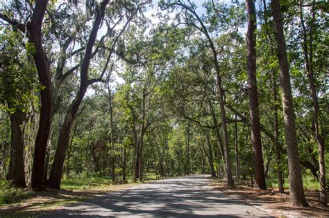 Skidaway Island State Park Campground Outdoor Project
