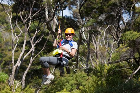 Waiheke Island Zipline And Native Forest Adventure In Auckland My Guide