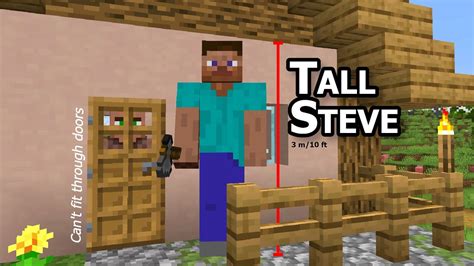 Unknown albert einstein body measurements: Really Tall Minecraft Steve - YouTube