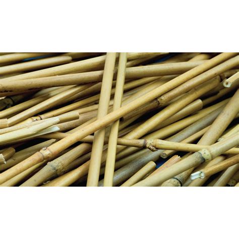 Long Bamboo Sticks - HC1426798 | Findel International