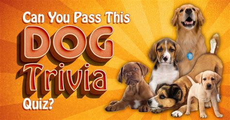 Can You Pass This Dog Trivia Quiz Artofit