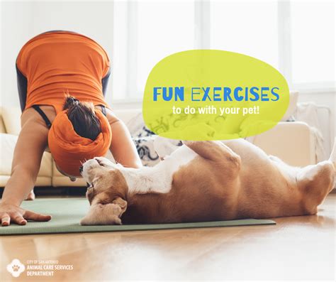 Fun Exercises To Do With Your Pet