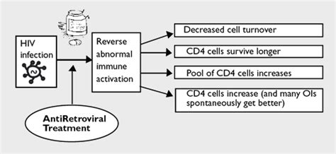 1 6 How Hiv Interacts With The Immune System Training Manual Hiv I Base