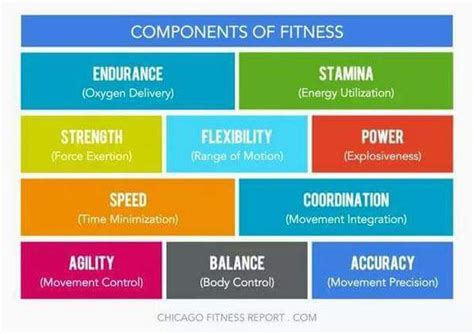 The 10 General Physical Skills In Fitness Supreme Community Fitness
