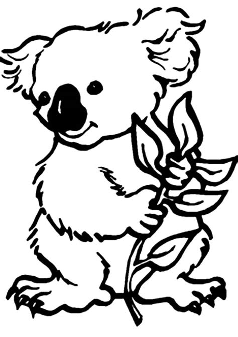 Dessin Koala 9309 Animaux à Colorier Coloriages à Imprimer