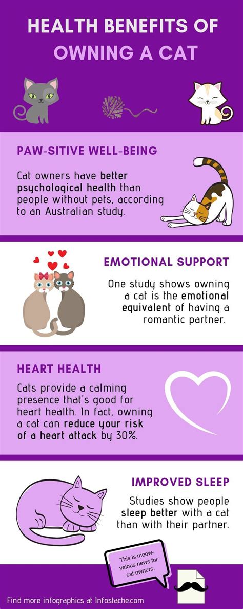 4 Health Benefits Of Owning A Cat Infographic Cat Infographic