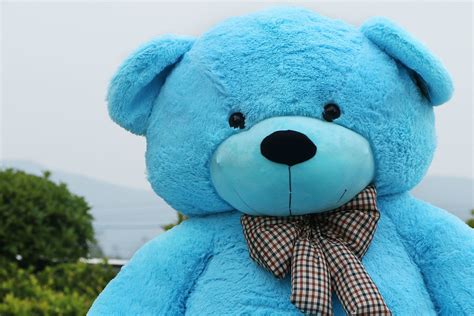 78“ Giant Blue Teddy Bear 65 Ft Full Stuffed Toy