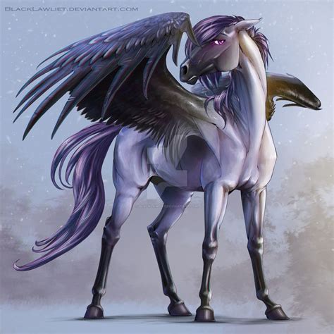 Pegasus Pegasus Art Horses Fantasy Horses