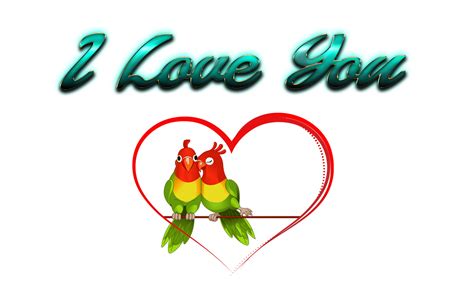 Collection Of I Love U Png Hd Pluspng